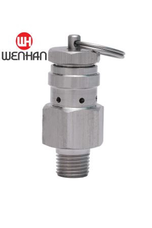 Stainless 304 NPT Small Safety Valve